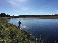 Summer Salmon Fishing Events