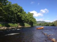 The Perfect Salmon River Setting