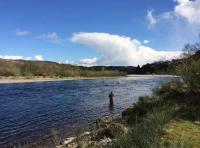 The Beauty Of Spring Salmon Fishing