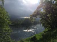 The Attraction Of Salmon Fishing