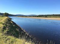 Perfect Salmon Fishing Event Scenery