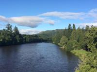 River Tay Salmon Fishing