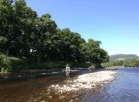 Learning To Fish For Salmon