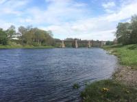 River Tay Corporate Salmon Fishing