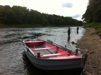 Corporate Salmon Fishing