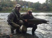 Big Salmon From The River Tay