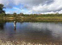 Salmon Fishing Gifts
