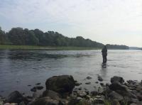 Corporate Salmon Fishing Trips