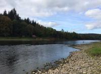 Corporate Salmon Fishing Experience Scotland