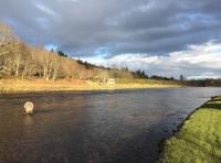 Beautiful Scottish Salmon Rivers