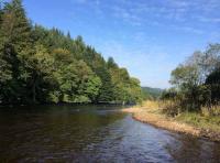 Salmon Fishing On The River Tay