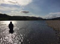 Summer Salmon Fishing Events