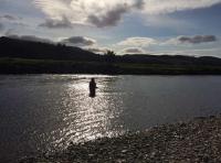 River Tay Salmon Fishing Perfection