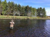 Fly Fishing For Salmon