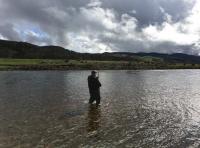 Playing A River Tay Salmon
