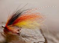 Selecting Your Salmon Fly