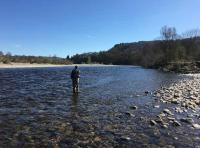 Salmon Fly Fishing Tuition