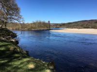 Fishing The Tay For Atlantic Salmon
