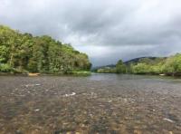 Fishing For Scottish Salmon