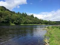 Late Spring On The River Tay