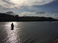 Salmon Fishing Relaxation