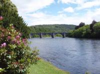 Summer Salmon Fishing Events