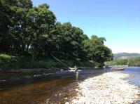 Learning To Salmon Fish