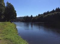 Perfect Summer Salmon Fishing Days