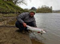 Pursuing The King Of Fish