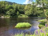 Amazing River Tay Fishing Days