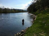 The Riverbanks Of The Tay