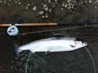 Corporate Event Fishing Days