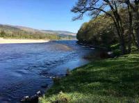 The Perfect Salmon River Vibe