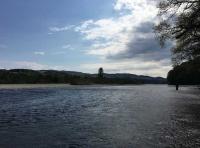 The Perfect Natural Environment