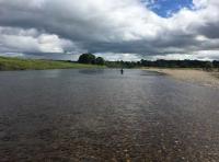 Salmon Fishing Event Days