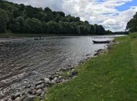 Autumn Salmon Fishing Events