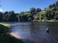 Salmon Fly Fishing Event Days