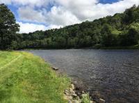 The Perfect Riverbanks Of The Tay