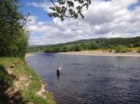 Learning The Scottish Speycast