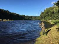 Learning How To Salmon Fly Fish