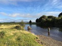River Tay Fishing Events