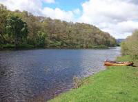 Perfect River Tay Salmon Pools
