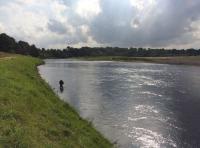 The Riverbanks Of The Tay