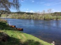 Spring Salmon Fishing Events