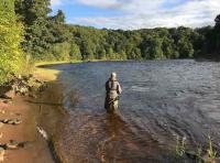 Scottish River Perfection
