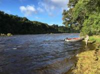 Fishing The Scottish Rivers