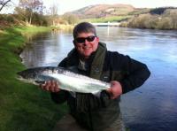 Catching A River Tay Salmon