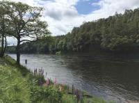 Scottish Salmon Fishing Venues