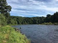 Fishing The River Tay