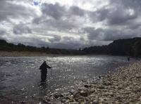 Professional Salmon Fishing Event Staff